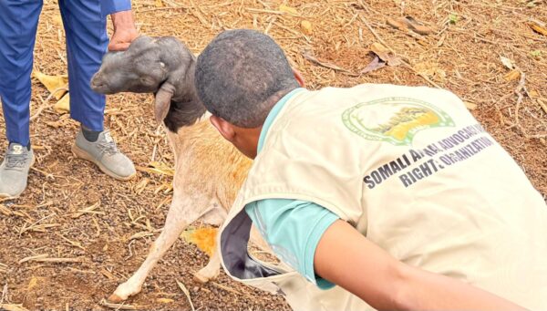 IMG-20251114-WA0044 IMG-20251114-WA0044