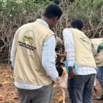 Drought Impact Assessment to Ceel-Adow in Bay Region, somalia