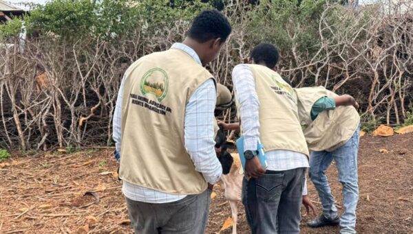 IMG-20251116-WA0002 IMG-20251116-WA0002