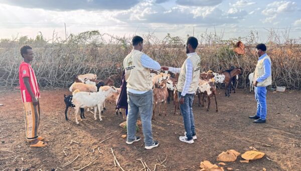 WhatsApp Image 2025-11-15 at 05.31.18 WhatsApp Image 2025-11-15 at 05.31.18