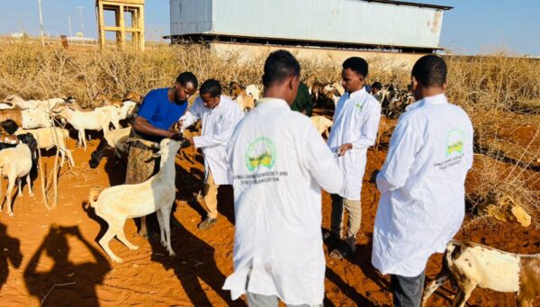 IMG-20260226-WA0082 IMG-20260226-WA0082