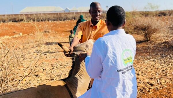 IMG-20260226-WA0003 IMG-20260226-WA0003